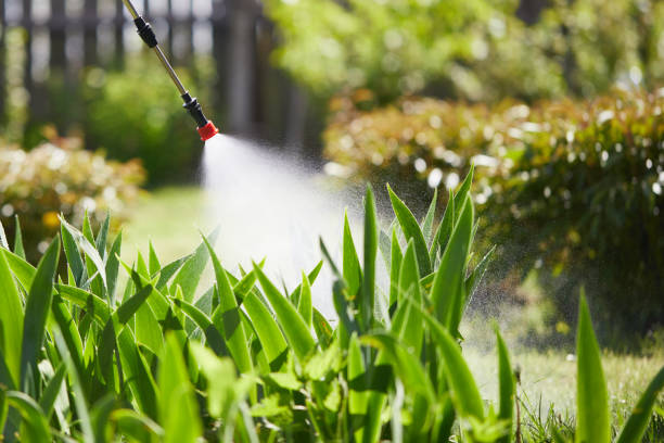Tamper-Resistant Bait Stations for Rodents in Spring Creek