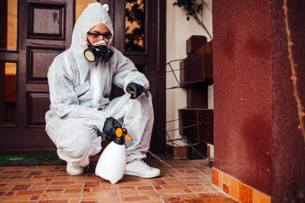 Attic and Crawl Space Rodent Treatment in Spring Creek